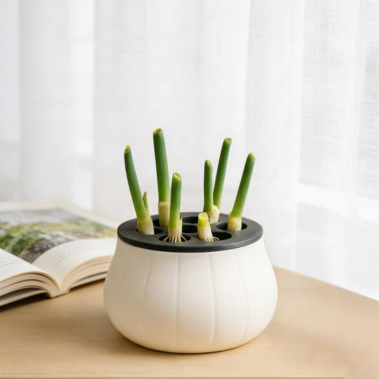 Countertop Scallion Planter Hydroponic Regrow Station with Detachable Lid Kitchen Regrowing Planter for Easy Scallion Regrowth