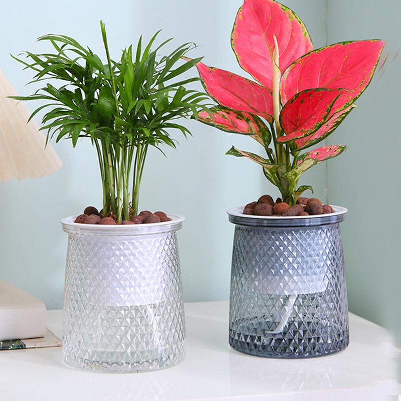 Fauler Hydrokultur-Blumentopf Automatische Bewässerung Pflanzenanzucht Klarer Plastikbehälter Orchidee Büro Kleiner Bonsai-Blumentopf