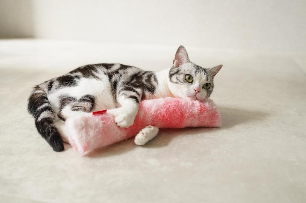 Mofu Kerikeri Soda Float [Safe Cat Quality] Contains Catnip Fluffy Cat Plush Toy Made with Safe Materials for Stress Relief and Exercise [Cat Toy