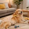 Adjustable Straps Pet Physiological Pants Stripe Breathable Pet Safety Trousers Comfortable Female Dog Underwear Pet Heat Cycle