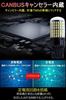 T20 LED Back Lamp, T20 LED, Single T20 Pinch Section, LED Turn Signal, High