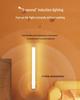 Smart Wireless Motion Sensor LED Night Light Strip for Home, Hallway, and Wardrobe