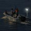 Boat Navigation Light Anchor All Round LED Lamp 2 Nautical Mile Visibility Stern Light 600mm 12V ANHEART Marine Accessories