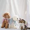 NASKA Knitting Kit Pet Pine Knit Cape Col.907 YH-4