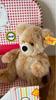 [USED] Steiff Teddy Bear with Suitcase