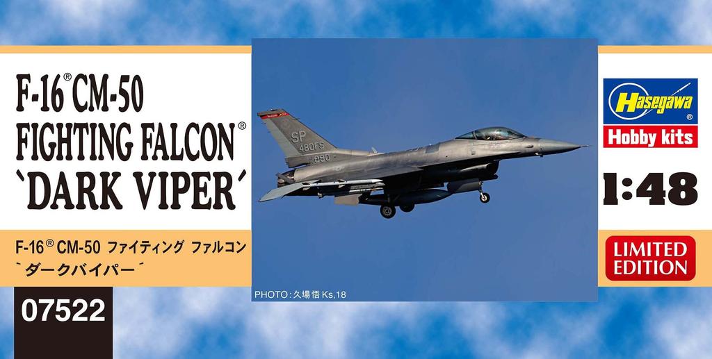 Hasegawa US Air Force Fighting Falcon Dark Viper Plastikmodell 07522 1/48 F-16CM-50