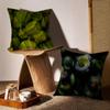 Natural Colors Of Fresh Food Pillow Case Sofa Living Room Bedroom Headboard Backrest Cushion Square Cushion