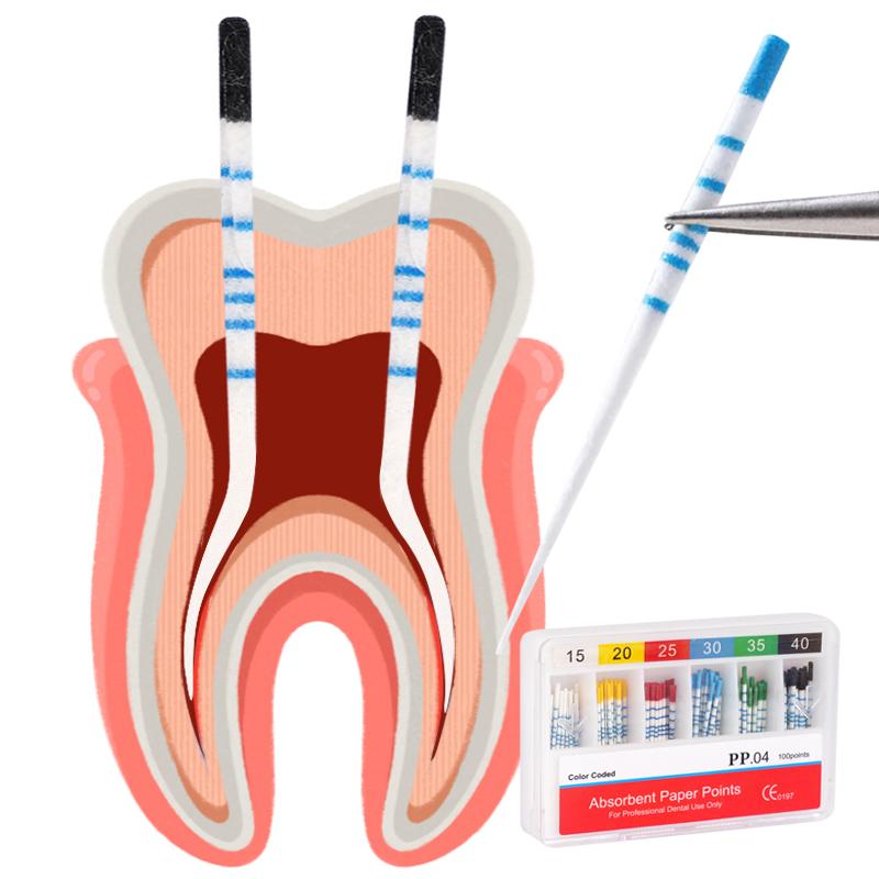 Dental Absorbent Paper Points 04 15-40# Root Cancel Endodontics Gutta Percha Cotton Fiber Tips Dentist Tool
