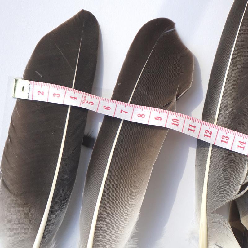 Primary Color Pheasant Hair Gray Knife Feathers Crafts Material Accessories Headdress Accessories Decorative Hard Feathers
