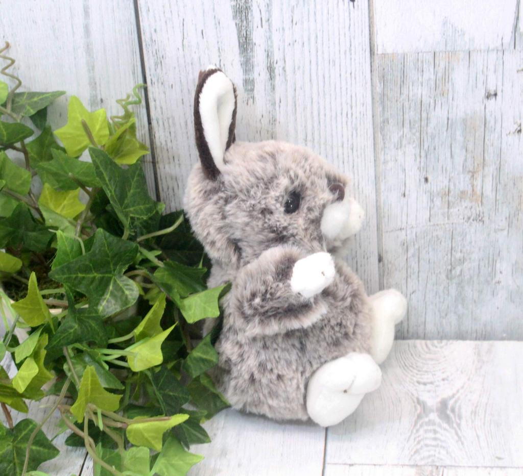 Take Off Rabbit Mimi Brown