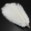 10Pcs 25-30cm Large Ostrich Feather Plume Costume Wedding Xmas Party Decoration