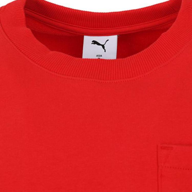 Puma Casual Crew Neck Logo Long Sleeve Sweatshirt Men Sweatshirt Red 631417-11