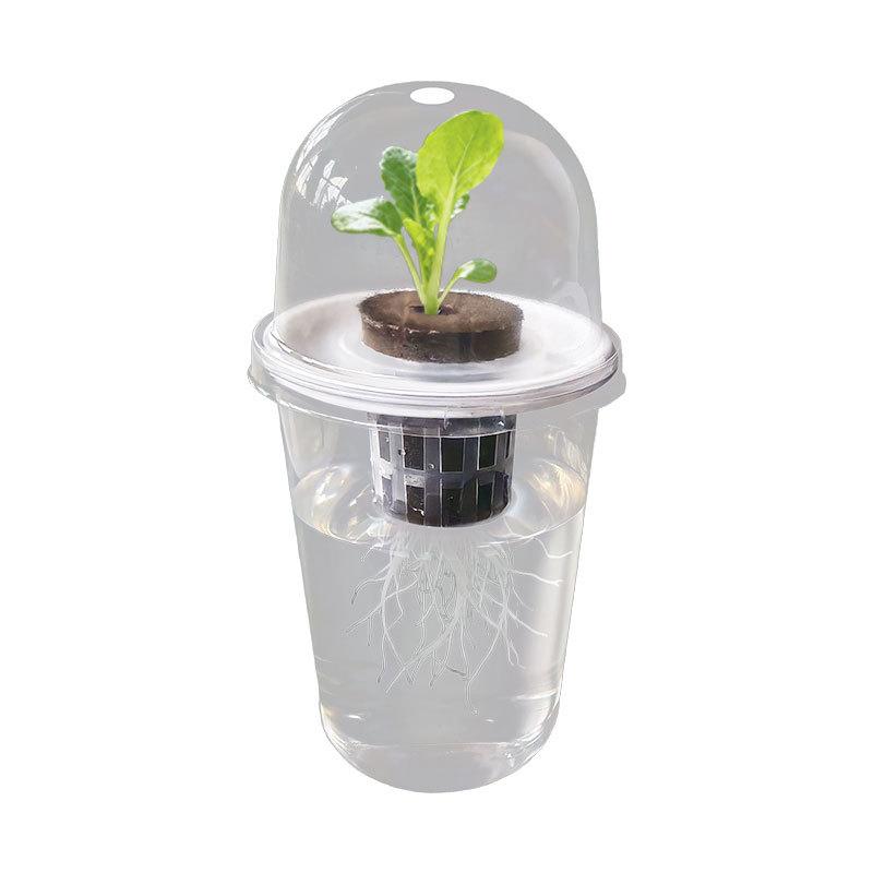 1/3Sets Plastic Material Hydroponic Seed Planter Pots Reusable Seedling Baskets Transparent Root View Cups Succulents Growing