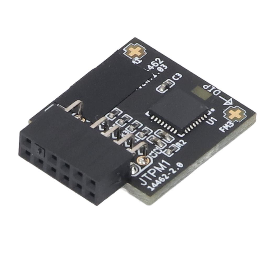TPM2.0 Module TPM SPI 12Pin Module with SLB 9670 Security Module for Windows 10 11 Motherboards