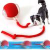 Electric Ball Toys Automatic Rolling Ball Rechargeable Smart Pet Interactive Plush Toy Dog Cat Training Imitate Mouse