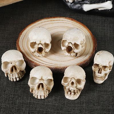 Realistic 10Cm Skull Sculpture Resin Craft For Party