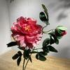 Woondecoratie – Decoratieve bloemen en kransen