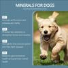 Minerals Supplement Tablets for Dogs 80 Tablets Support Healthy Growth and Daily Nutrition Need Immune Improve