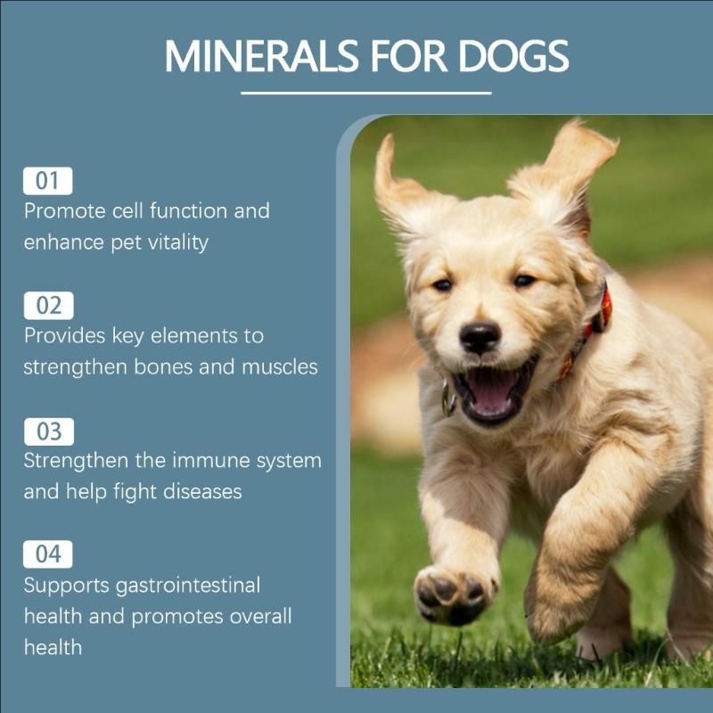 Minerals Supplement Tablets for Dogs 80 Tablets Support Healthy Growth and Daily Nutrition Need Immune Improve