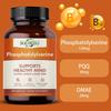Phosphatidylserine Improve Memory Enhance Cognitive Abilities 120 Capsules