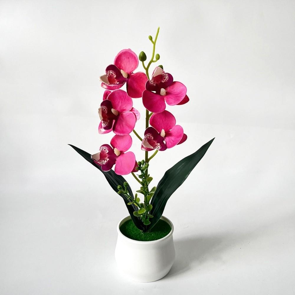 5 Heads Artificial Orchid Potted Flower Pink with White Pot Simulated Flower Butterfly Orchid Potted Plastic Multi-Bloom
