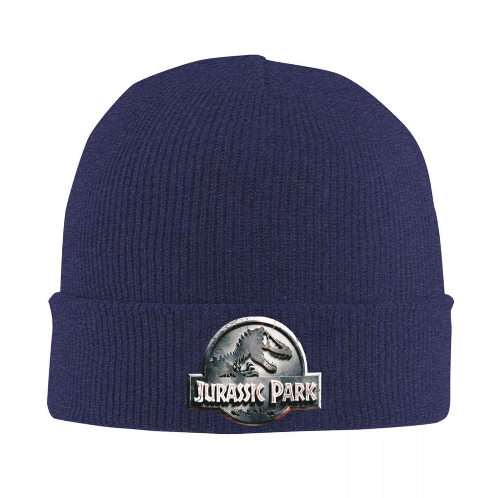 Jurassic Park Stone Engraved Knitted Hat Beanie Autumn Winter Hat Warm Unisex Fashion Cap Men Women Gift
