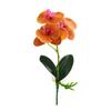 Useful Simulation Phalaenopsis Not Withered Luxury Decorate