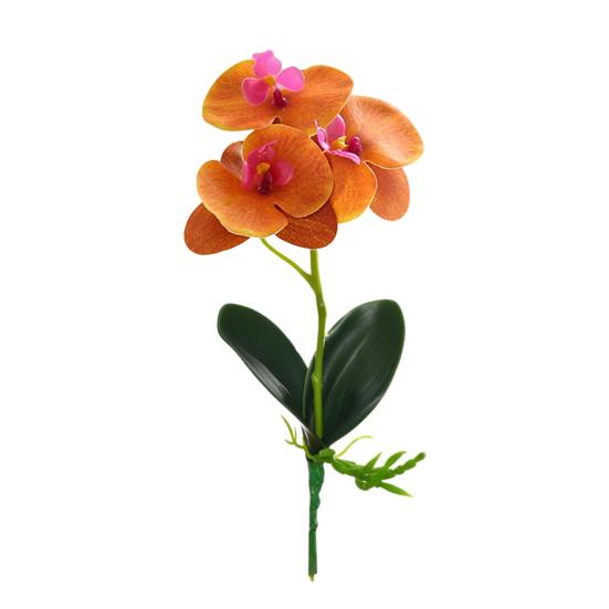 Useful Simulation Phalaenopsis Not Withered Luxury Decorate