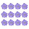 12Pcs Flowers Decoration High Imitation Bright Color Dried Flowers Dried Pressed Flowers for Nail Sticker Floral Decors
