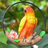 Hanging Parrot Statue Perch Ring for Home Patio Decor, Pick