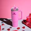 Stanley Vacuum Insulated Stainless Steel Straw Tumbler