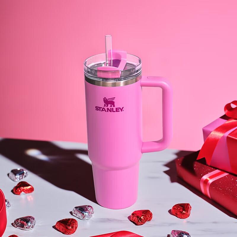 Stanley Vacuum Insulated Stainless Steel Straw Tumbler