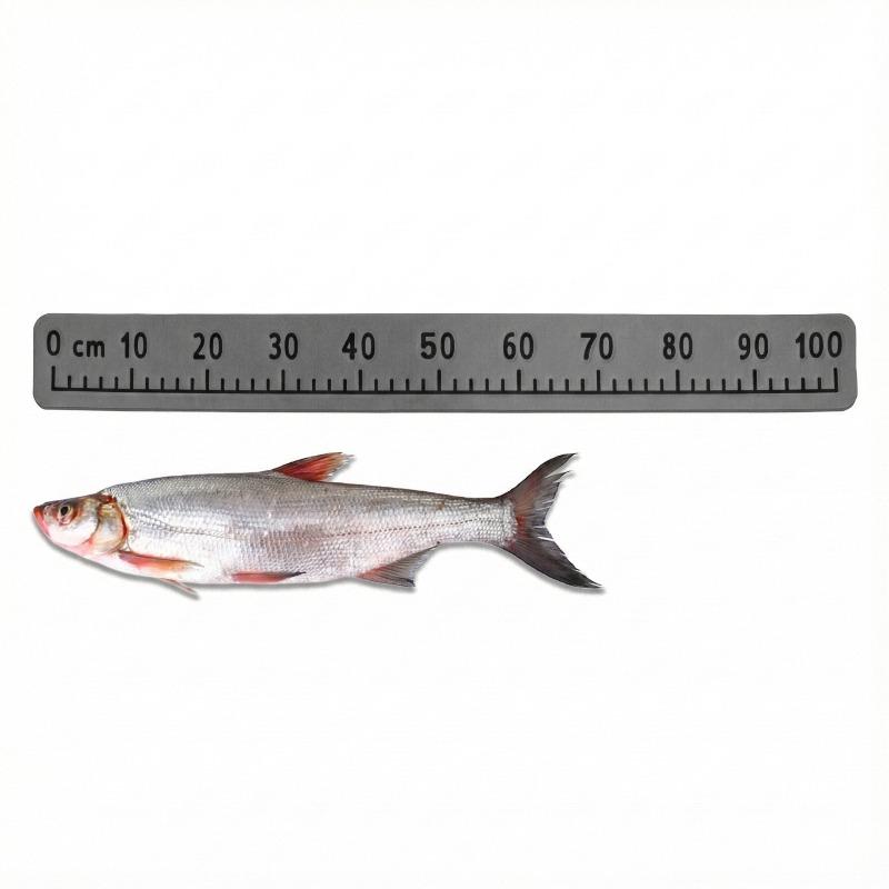 Dark Gray Theme 100cm EVA Foam Fish Measure Ruler Adhesive Tape for Fishing Boat Kayak Cooler Box Angling Ruler Tool Accessory 7