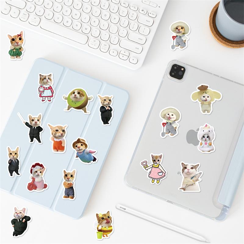 62 Pcs Cartoon Cat Meme Stickers - Waterproof Decals For Diy Decorating Guitar, Notebook & Luggage