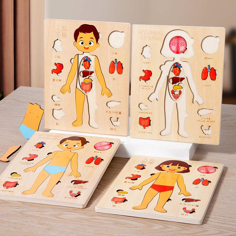 Wooden Body Cognitive Board Boy & Girl Body Organ Puzzles Kids Montessori Educational Toys for Children Toddlers 2 3 4 5 6 Years