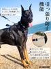 JC HOUSE Dog Harness for Medium Ultra the Easy to Put on and Take Dog Less Adjustable 3M Night Come Prevents Small Large Shiba Akita Inu Dogs,