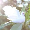 Simulation Doves Portable Model Feather Bird White Doves Foam Plastic Foot Multifunctional Wedding Decor for Home Party Props