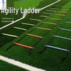 Speed Agility Training Ladder