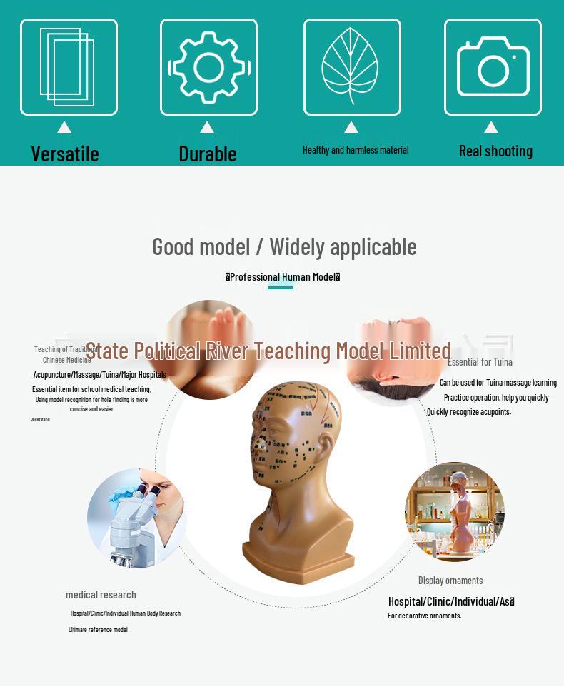 High-Definition Acupuncture Engraved Head Model with Full Facial Acupoints for Human Body Massage Chart