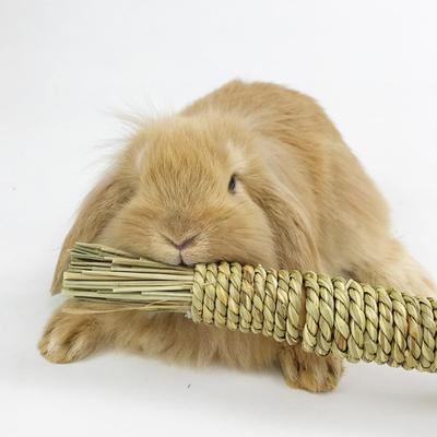 Yousheng Rabbit Toy Teeth Grinding Toy Natural Grass Hand-woven Hamster Rabbit Carrot Chew Toy Cage Accessories