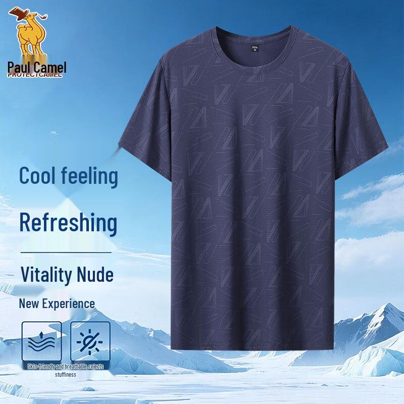 Paul Camel Men s Ice Silk Plus Size Short Sleeve T-Shirt 3XL