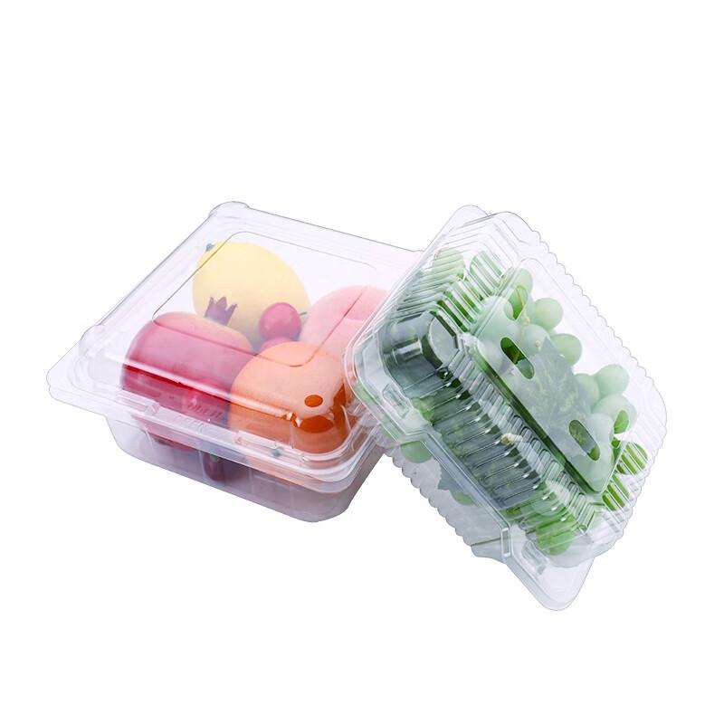 Shixun Disposable Transparent Fruit Containers with Lids (100-Pack)