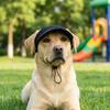 Corduroy Pet Sun Hats Soft Cat Headwear Decorative Dog Baseball Cap  All Season