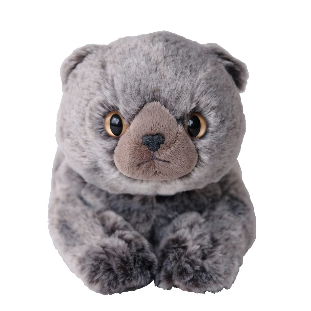 Sunlemon Knee Cat Scottish Fold Gray x x cm Stuffed Animal 17.5 12.6 33.2 P-8342