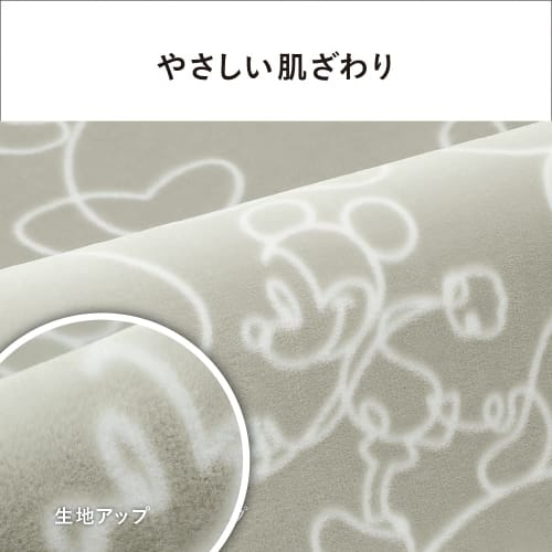 Panasonic Hot Carpet Electric Carpet Disney Design Energy Saving Timer Function Dust Mite Prevention Dress-up Cover Included 1.5 Tatami Gray DC-15NKCD