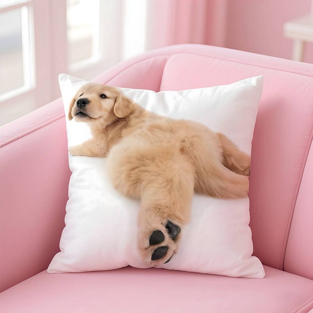 Kwaii katt hund Kuddfodral Kvalsterfritt Kudde Osynlig dragkedja Silkeslen kort plysch Soffkuddfodral