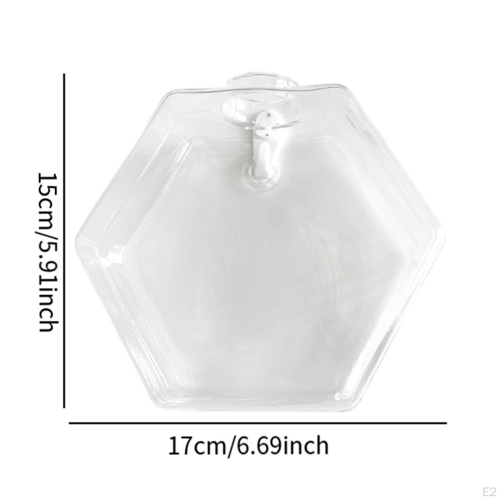 Wall Planter Garden Decor Easily Install for Indoor Plant Glass Vase Hanging Mom Air Plants