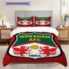 Sunderland Afc Emblem Radiance Three-piece set (1 * duvet cover + 2 * pillowcase, without core) 2D Flat Christmas birthday gift