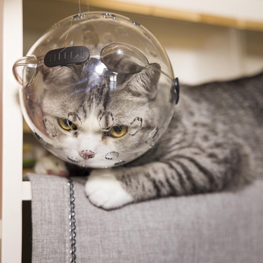 Pet Cat Transparent Space Helmet - Breathable Anti-Scratch Bite-Resistant Design with Cat Ears