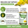 Herb Extract Capsules 120 Count Extra Strength Vegan Non GMO Gluten Free